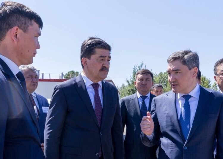 Бектенов: «Кто занимается незаконной вырубкой - враги государства»
