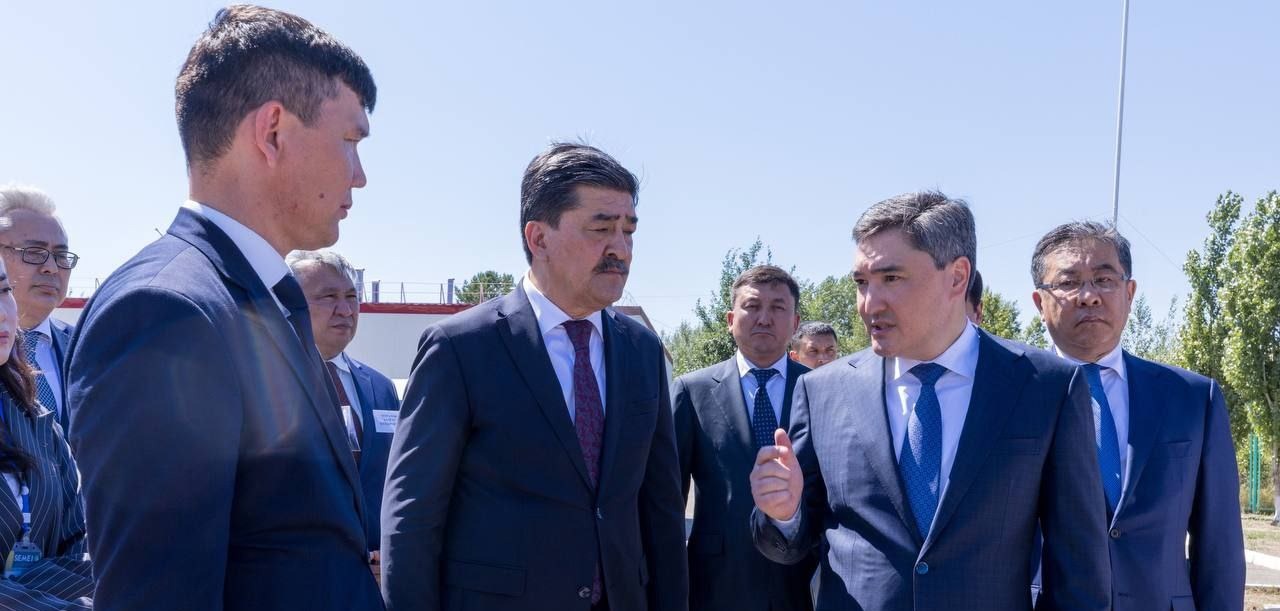 Бектенов: «Кто занимается незаконной вырубкой - враги государства»