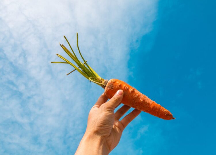 Цены на социально значимые продукты снизились в Казахстане: в рекордсменах морковь и гречка