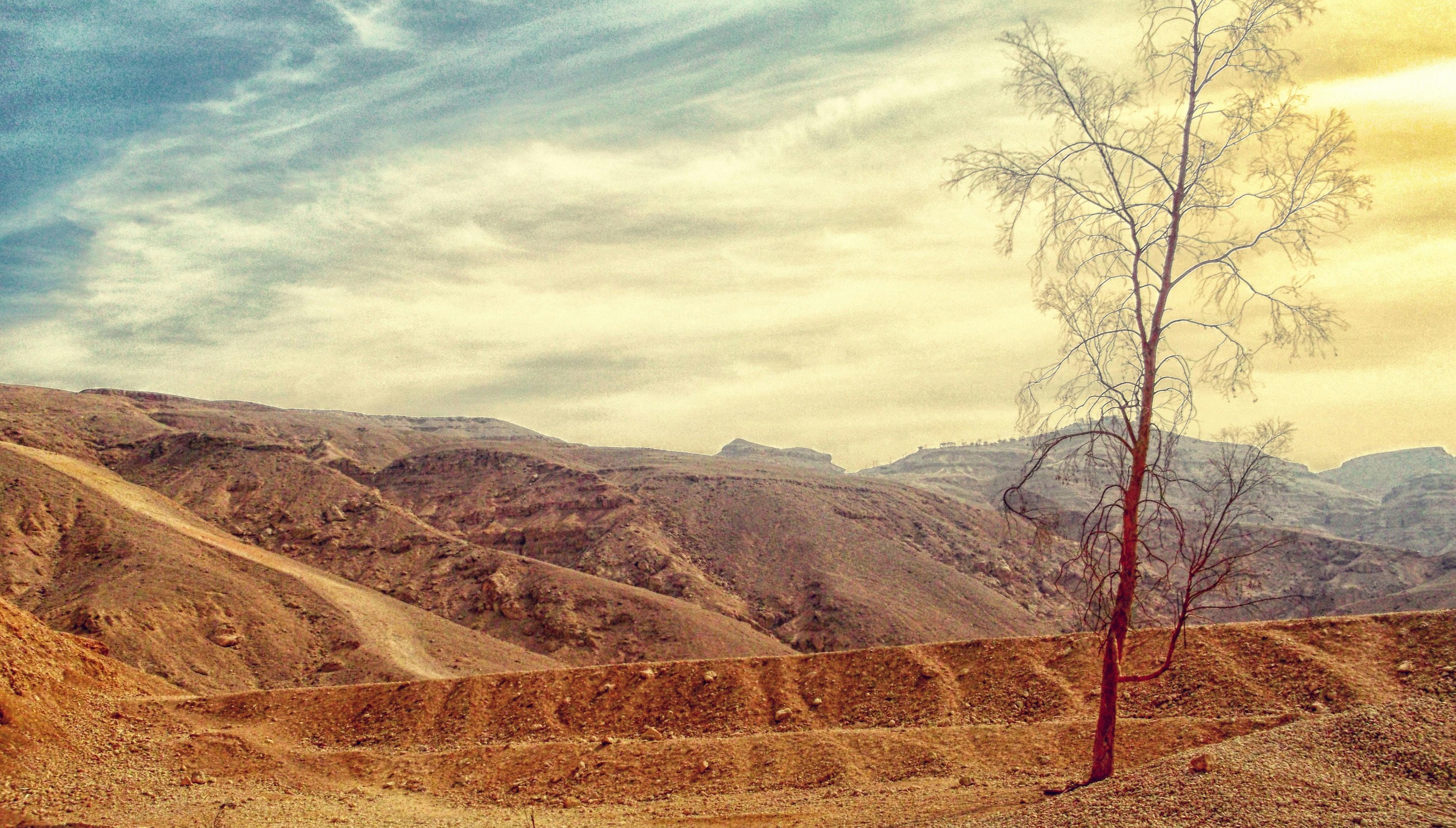 ООН: Смертность из-за жары среди пожилых увеличилась на 85% за 20 лет