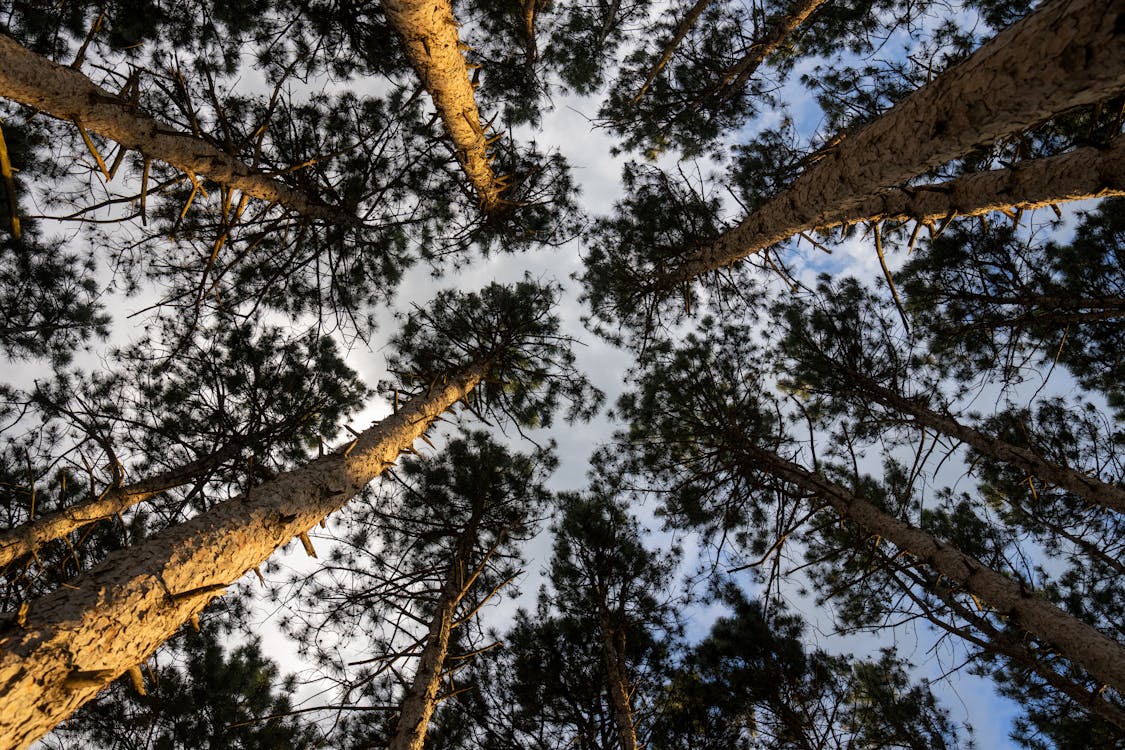 Город "Щучучинск" появился в Казахстане по ошибке