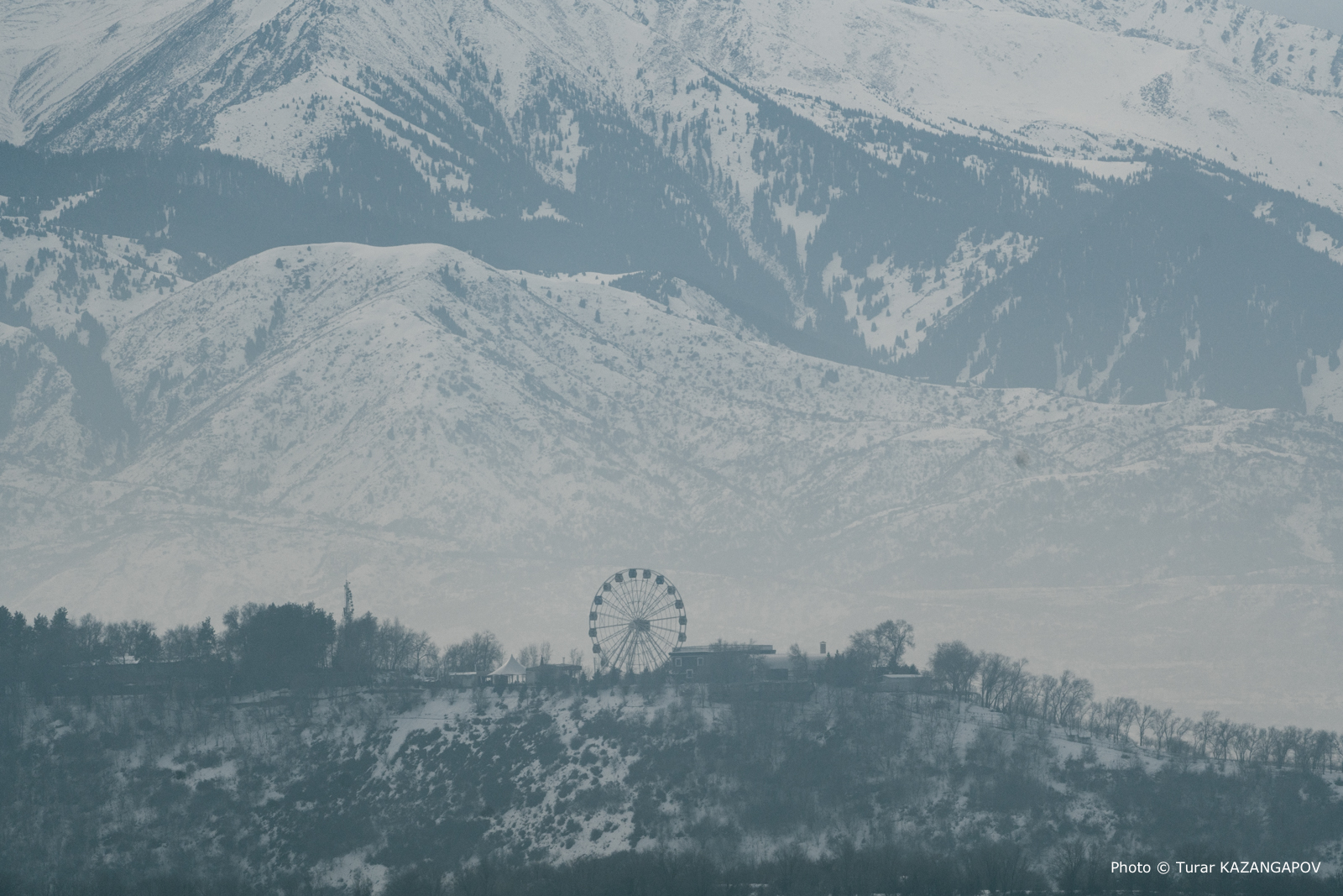 В Алматы могут создать новую рекреационную зону на месте яблоневых садов