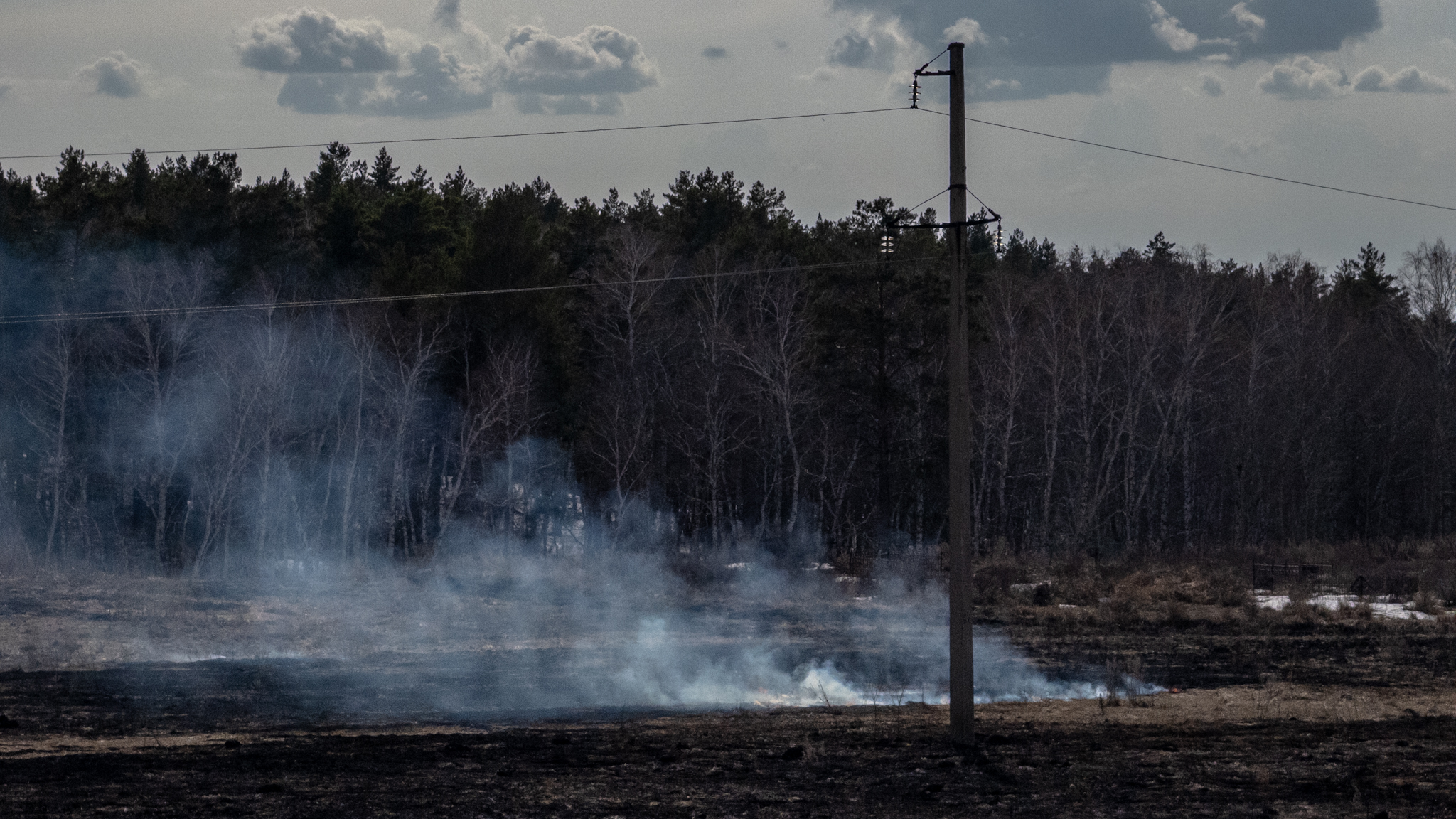 Глава Минэкологии предупредил о возможных пожарах