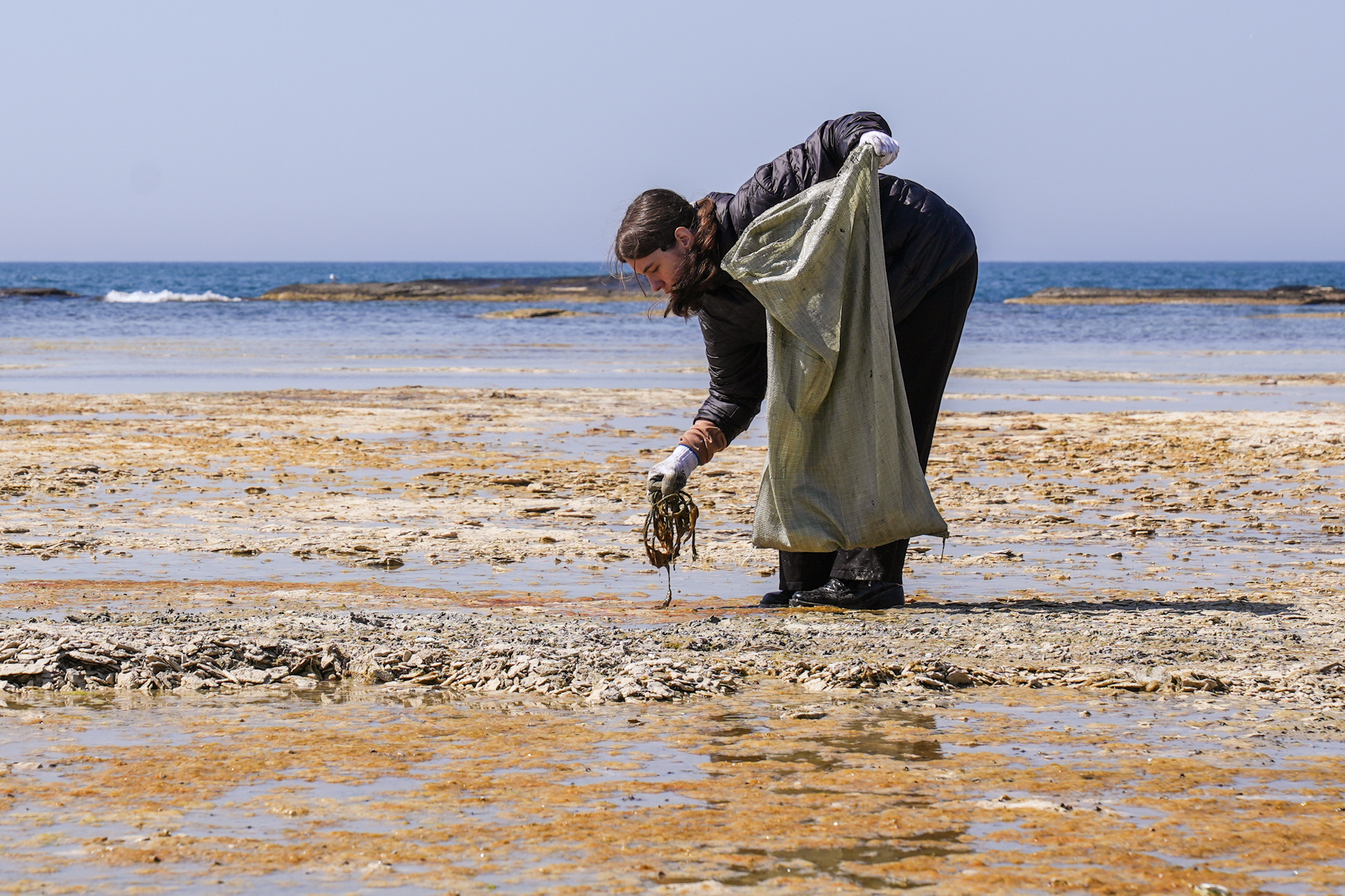 Экология и птицы: как прошел необычный субботник на берегу моря в Актау