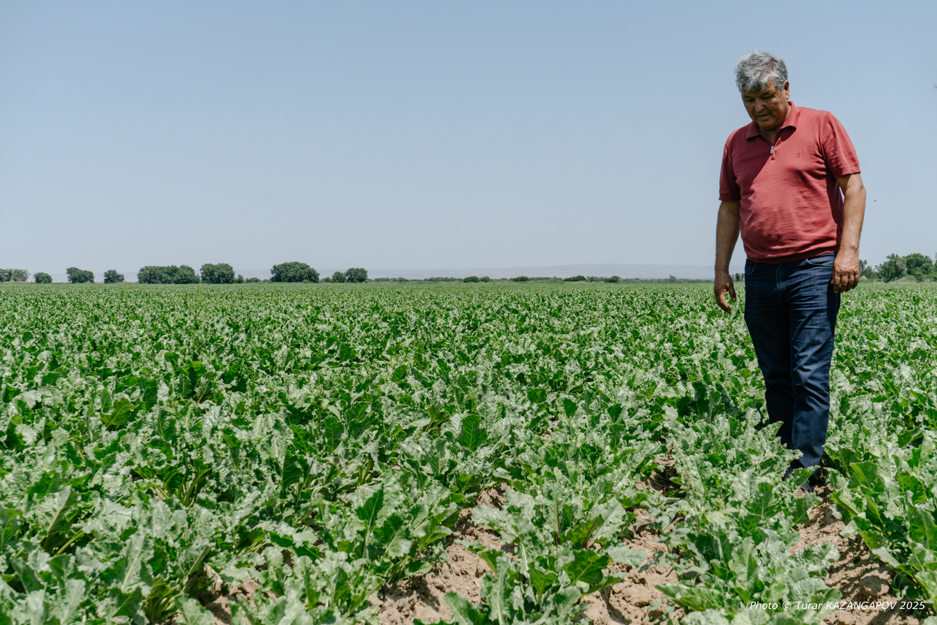 Турар Казангапов, Belles.kz, Жетысу