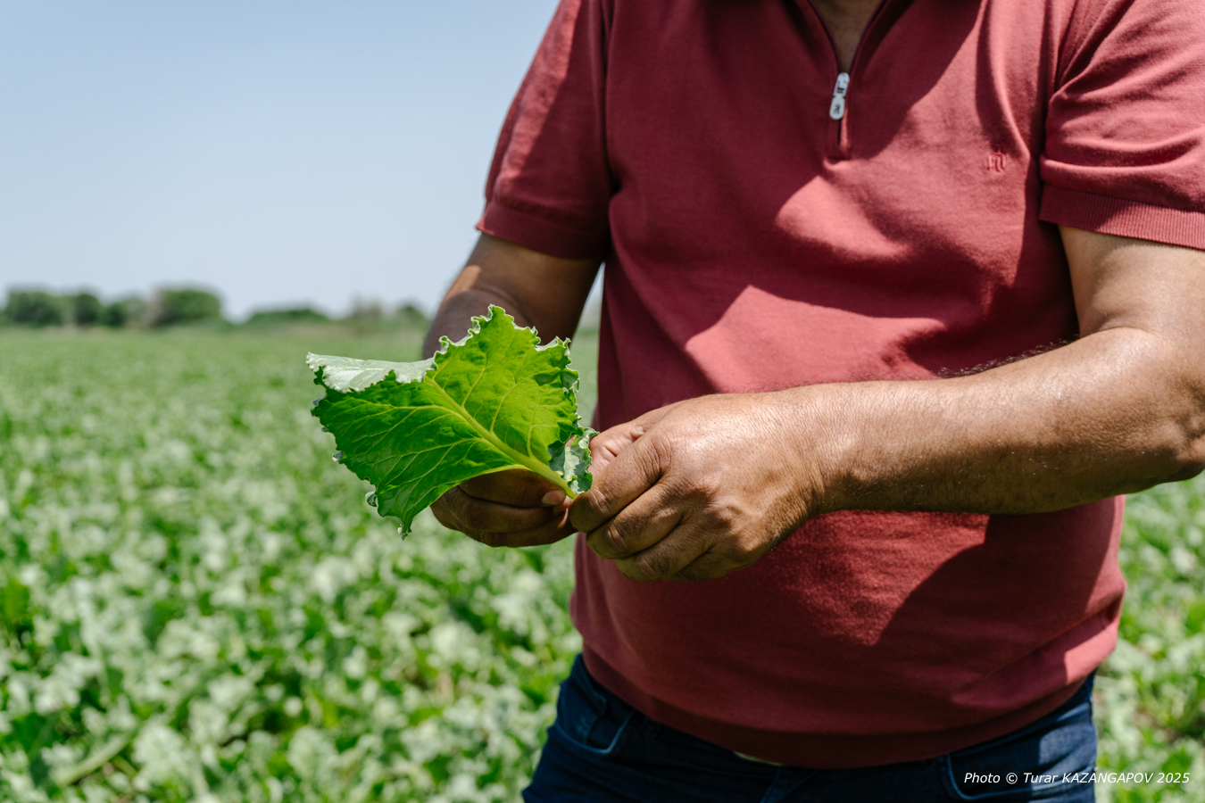Фото: Турар Казангапов, Belles.kz, Жетысу