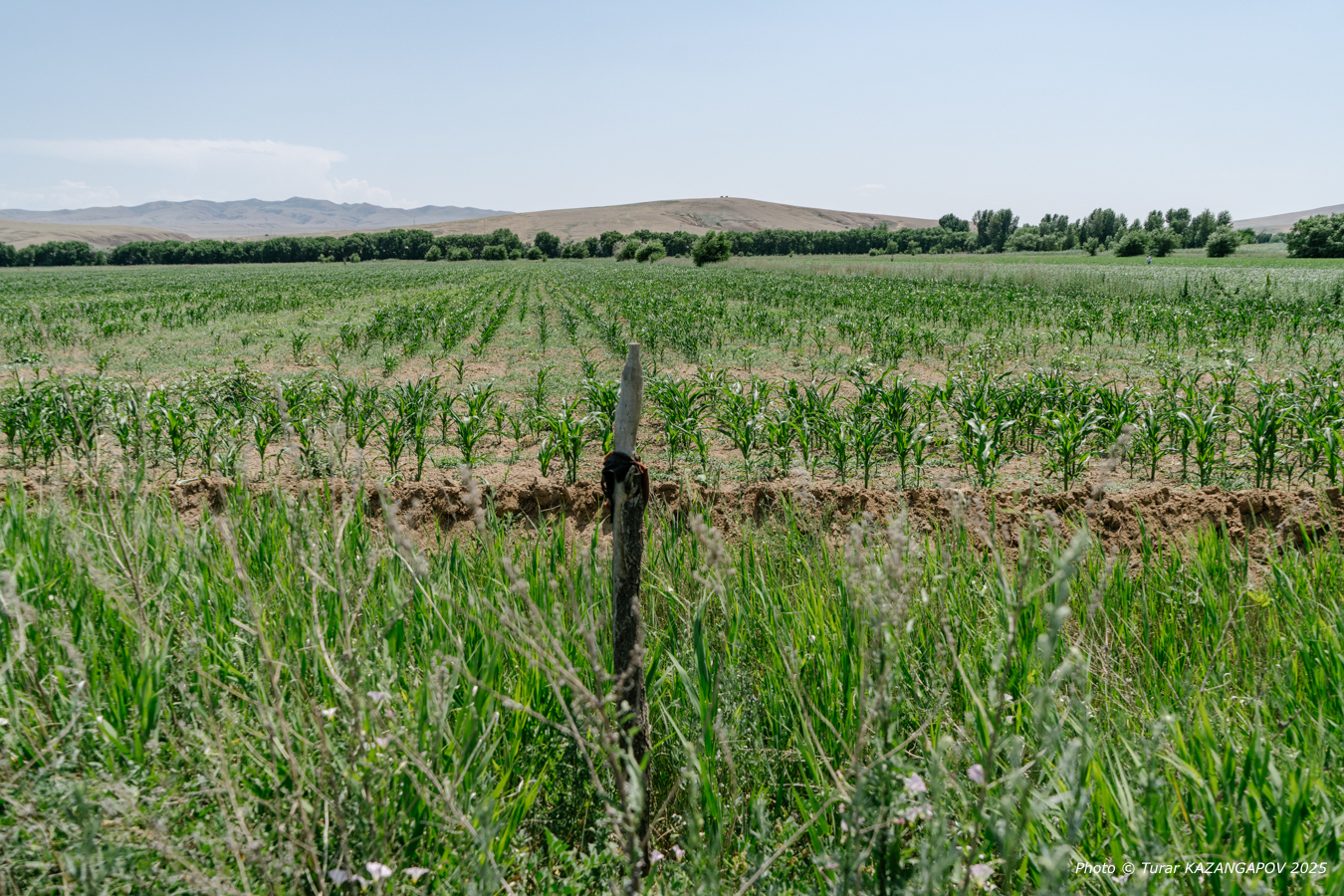Фото: Турар Казангапов, Belles.kz, Жетысу