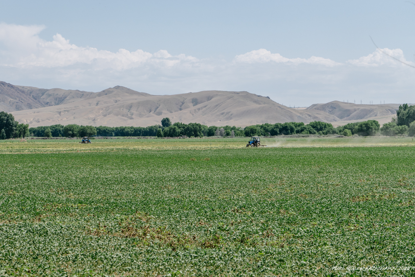 Фото: Турар Казангапов, Belles.kz, Жетысу