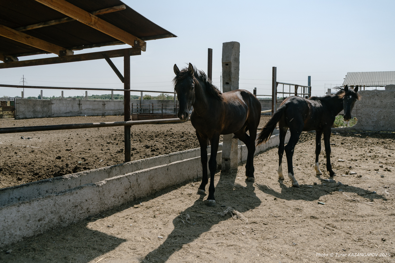 Фото: Турар Казангапов, Belles.kz Жетысу