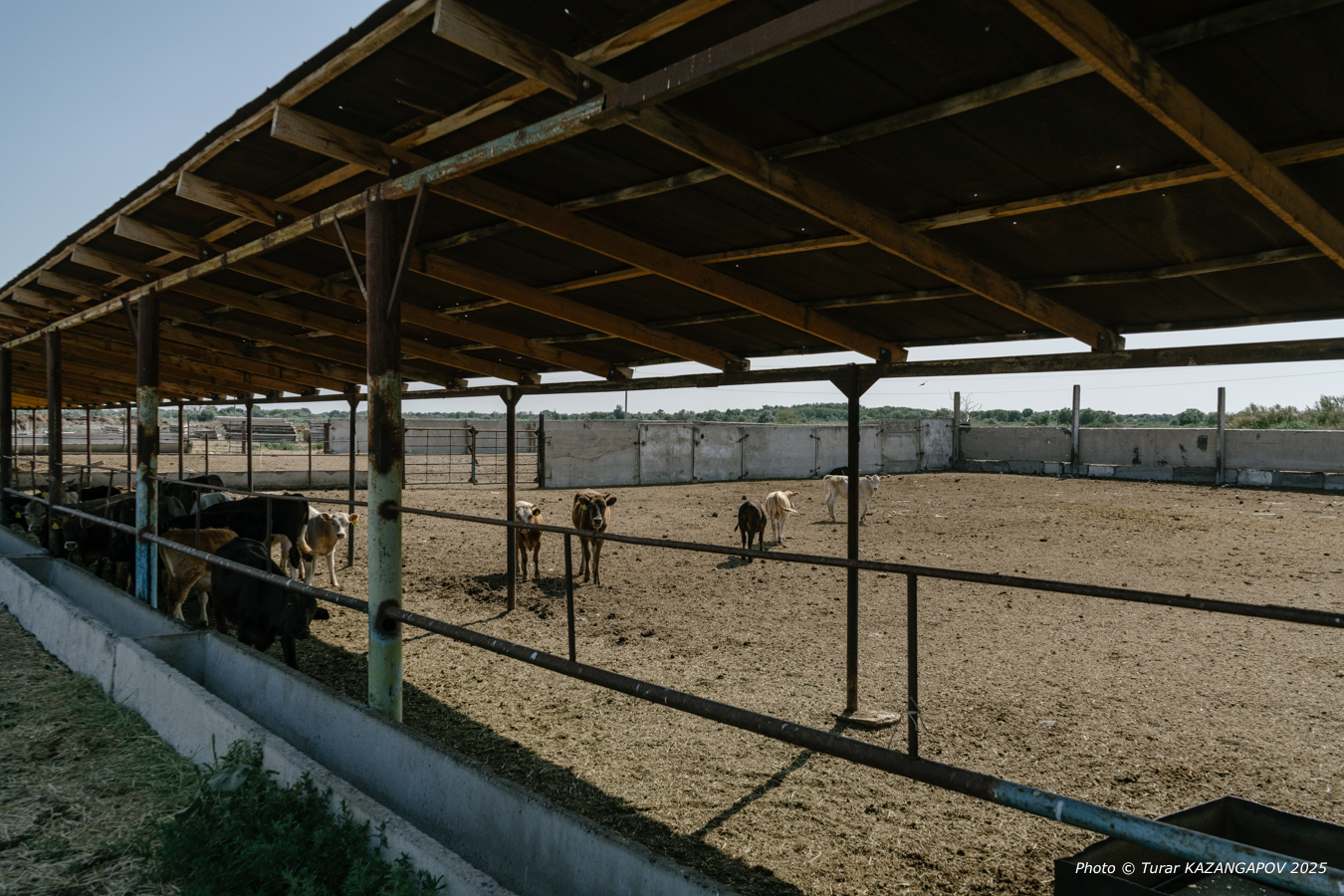 Фото: Турар Казангапов, Belles.kz Жетысу