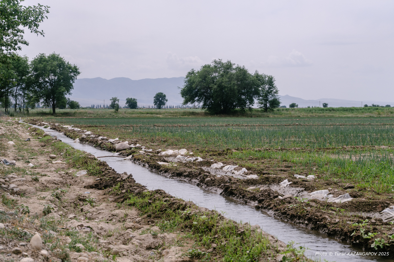 Фото: Турар Казангапов, Belles.kz, Жетысу