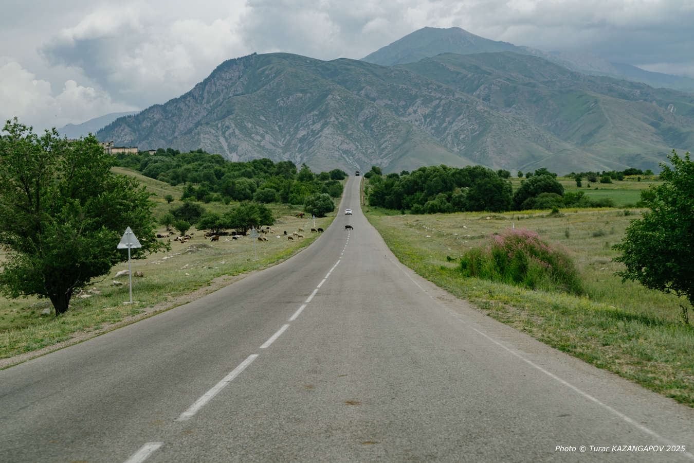 Фото: Турар Казангапов, Belles.kz, Жетысу