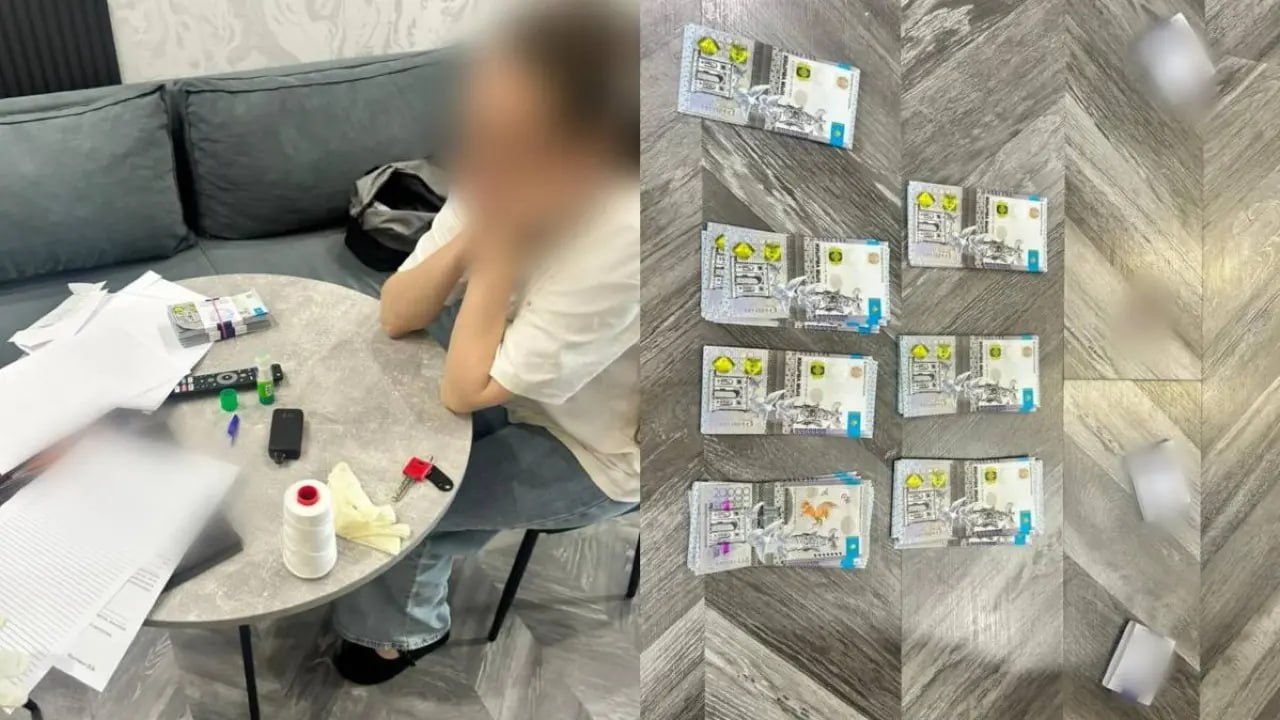 В Павлодаре задержали иностранку, пытавшуюся продать почку