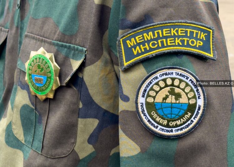 После пожара в «Семей орманы»: как в Казахстане усиливают защиту лесов
