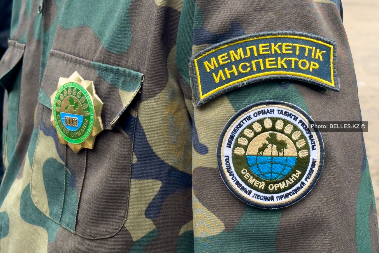 После пожара в «Семей орманы»: как в Казахстане усиливают защиту лесов