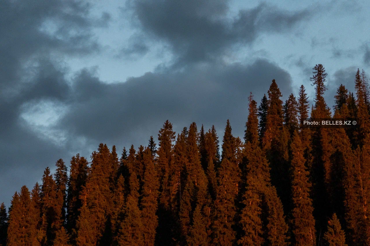 Снова заморозки: западный циклон накроет Казахстан