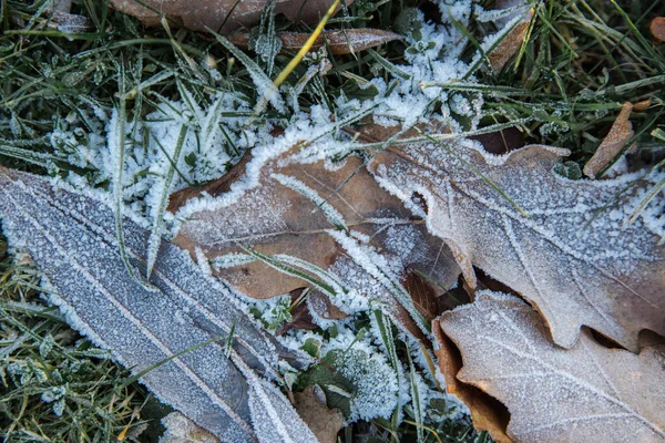 От жары до первых заморозков: синоптики рассказали о погоде в сентябре