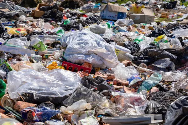 В Астане предложили увеличить штрафы за незаконные свалки