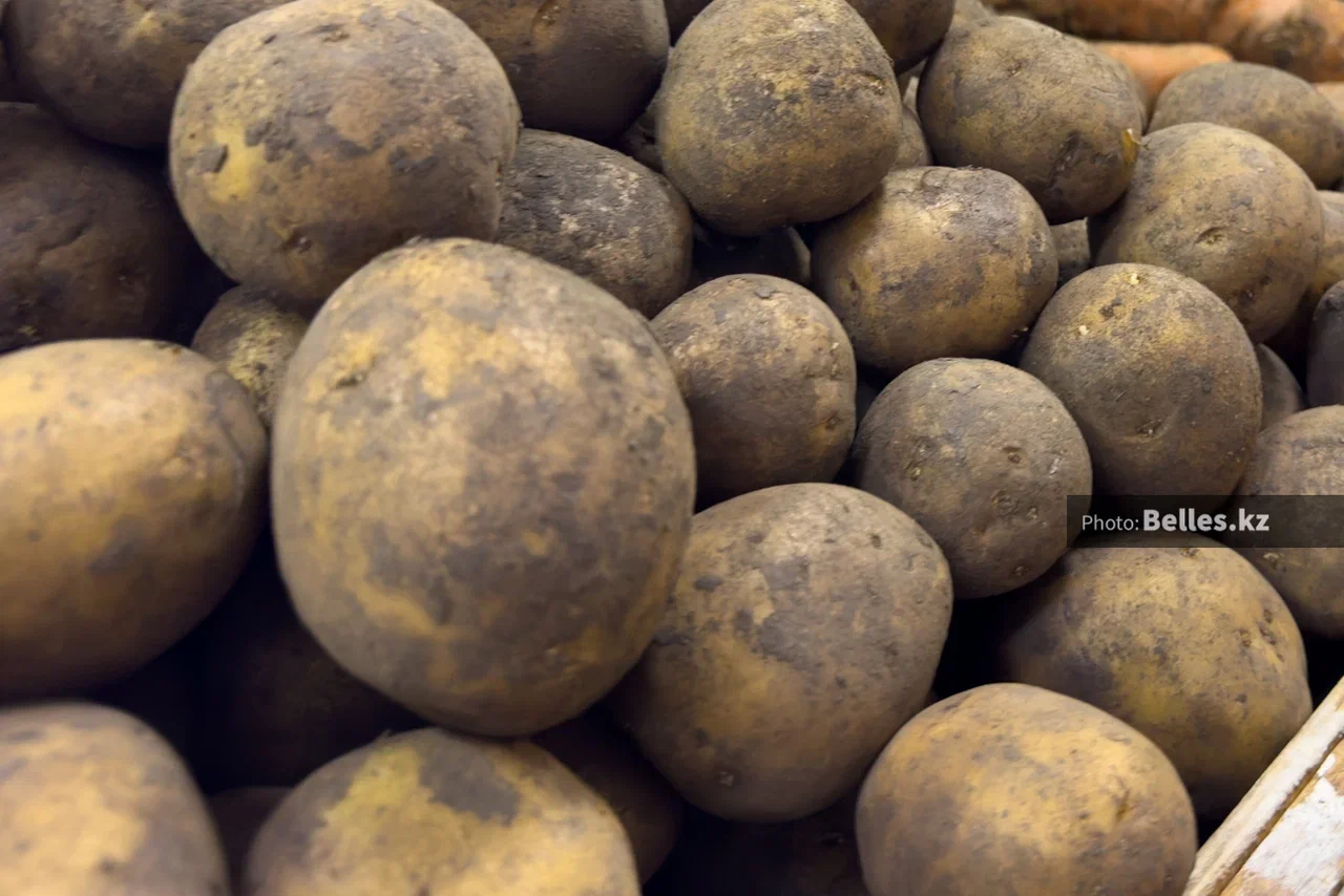 Картофель в Казахстане продаётся по 130 тенге за килограмм