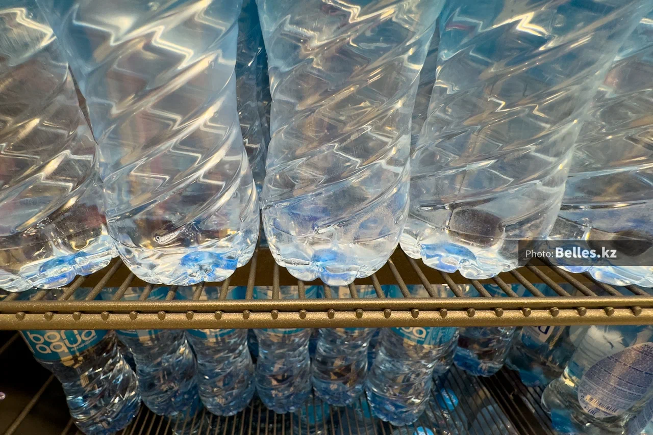 Токаев: в Казахстане отсутствует культура бережного отношения к воде