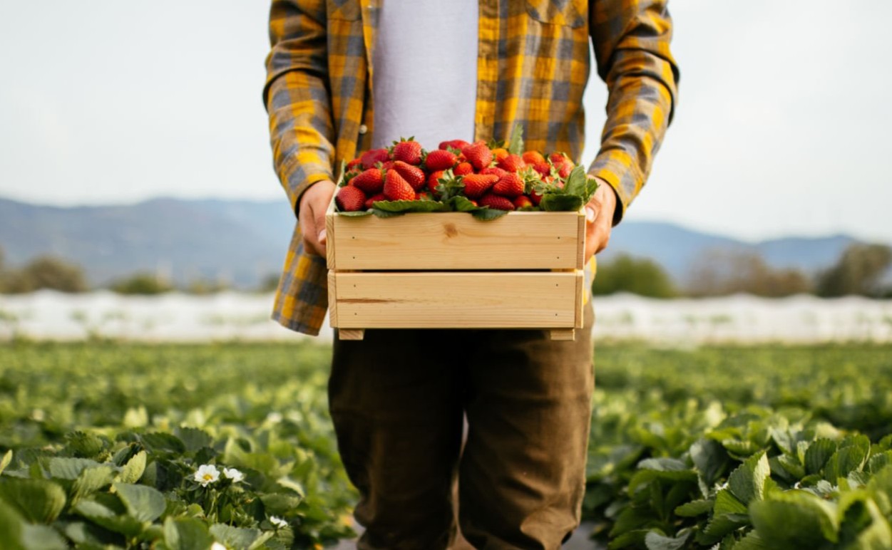 Минтруд призвал казахстанцев легализовать работу за рубежом