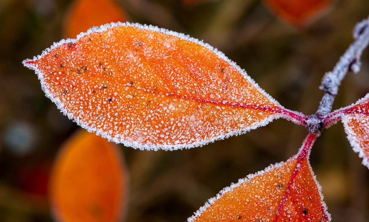 Октябрь в Карагандинской области: от тёплых дней до первых метелей