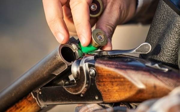 Фермер в Карагандинской области расстрелял табун лошадей, зашедших на его поле