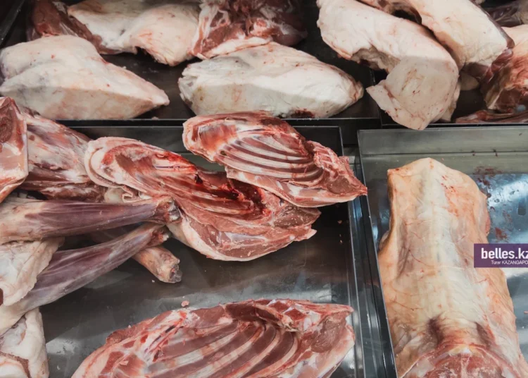 Сайгачье мясо появится на прилавках супермаркетов Казахстана