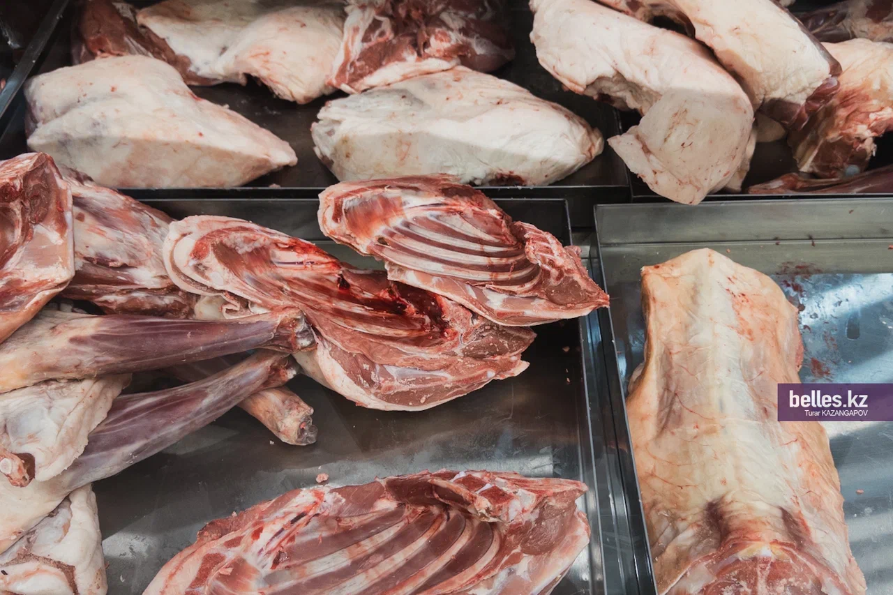 Сайгачье мясо появится на прилавках супермаркетов Казахстана