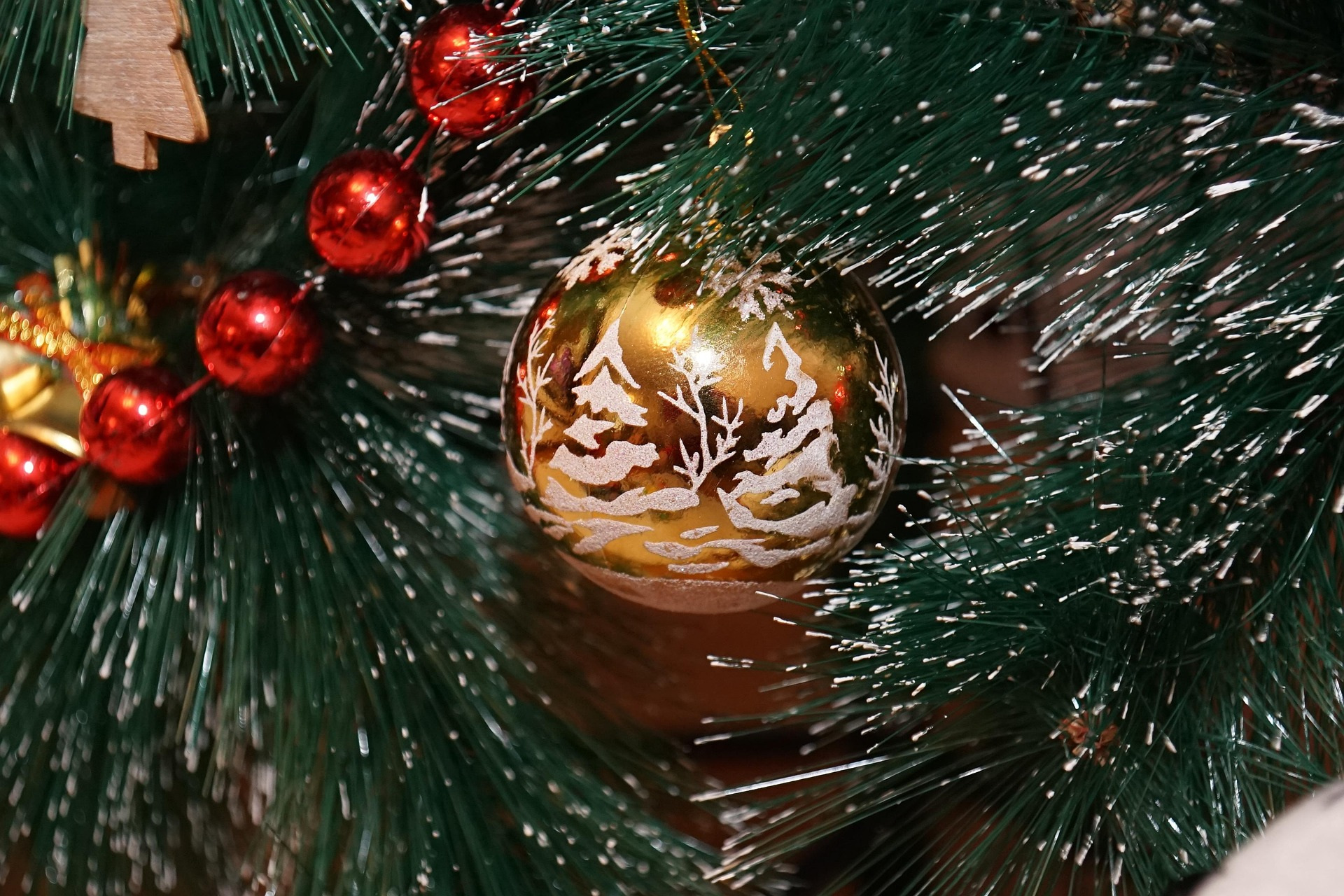 Новогодние ёлки онлайн: полиция предупредила о мошенниках