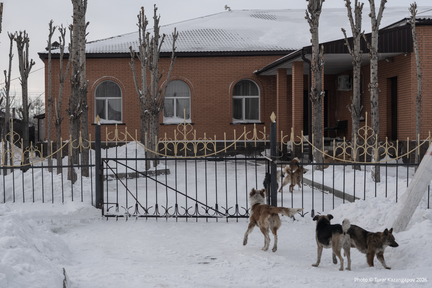 Подпись