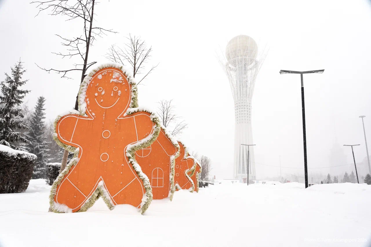 Морозы до 28 градусов и штормовой ветер ожидаются в Казахстане