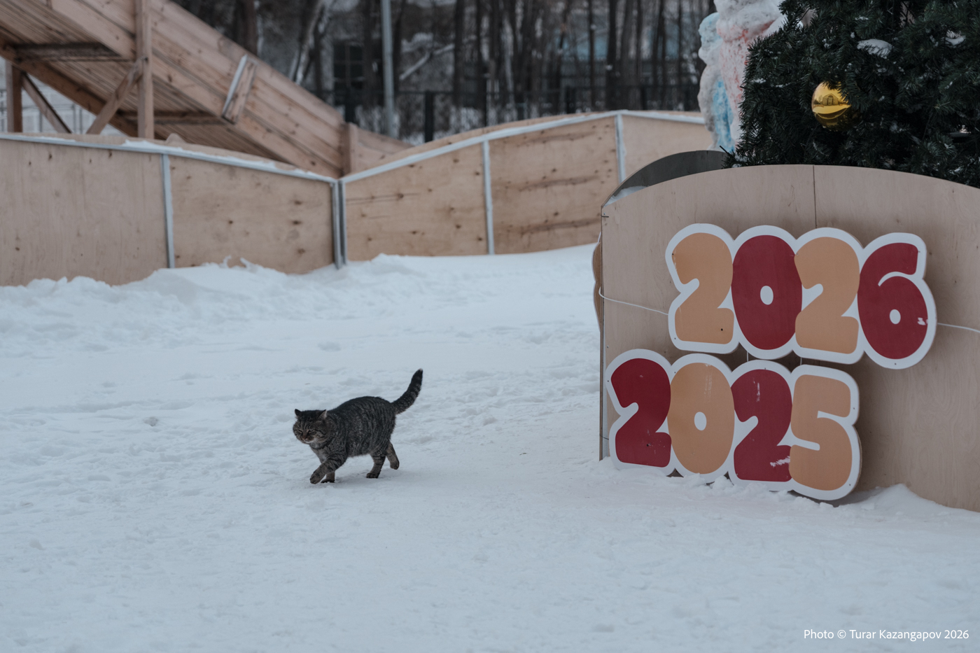 Подпись