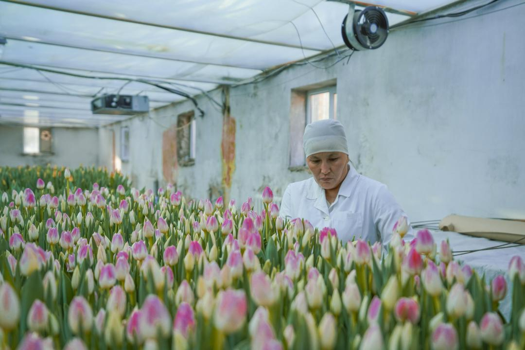 Подпись