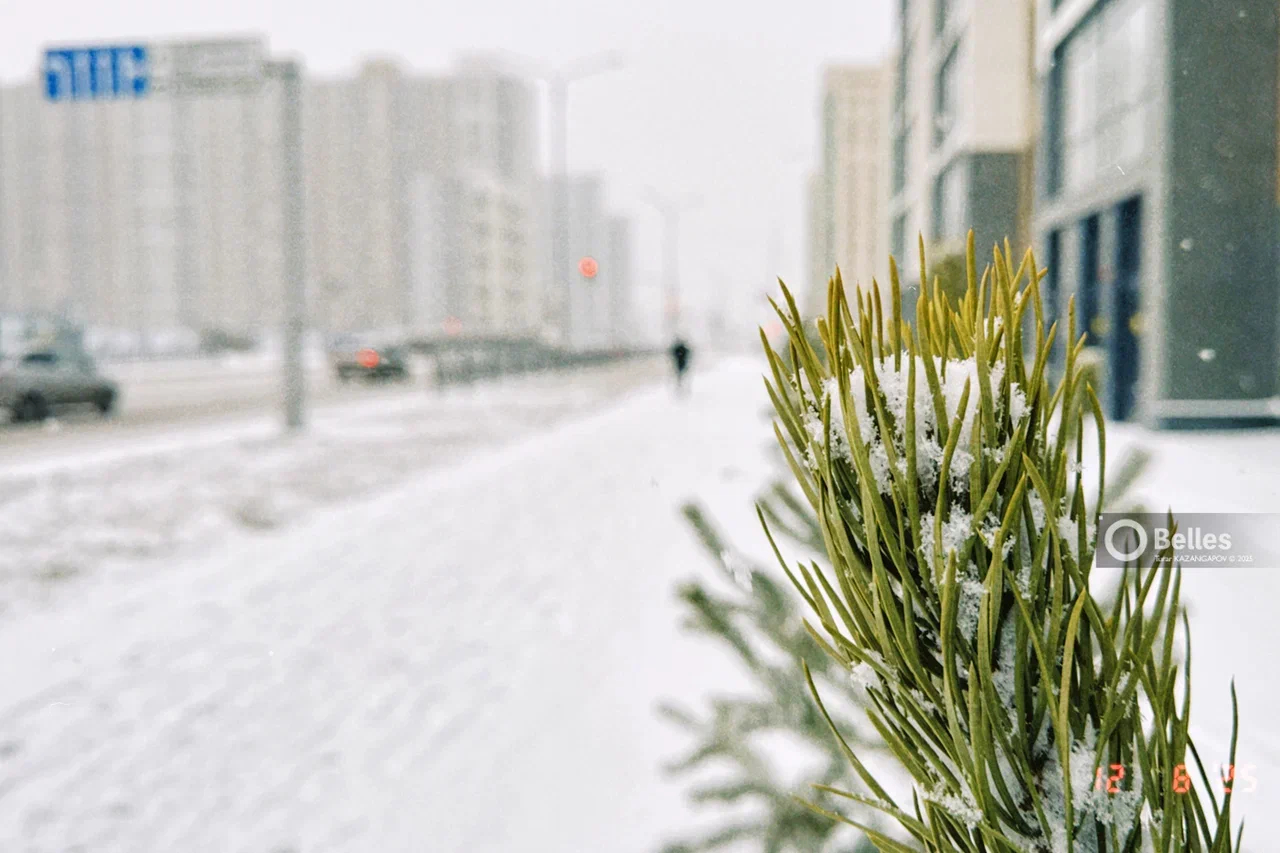 Снег, гололёд и сильный ветер: подробный прогноз погоды в Астане и Алматы на 4–6 марта