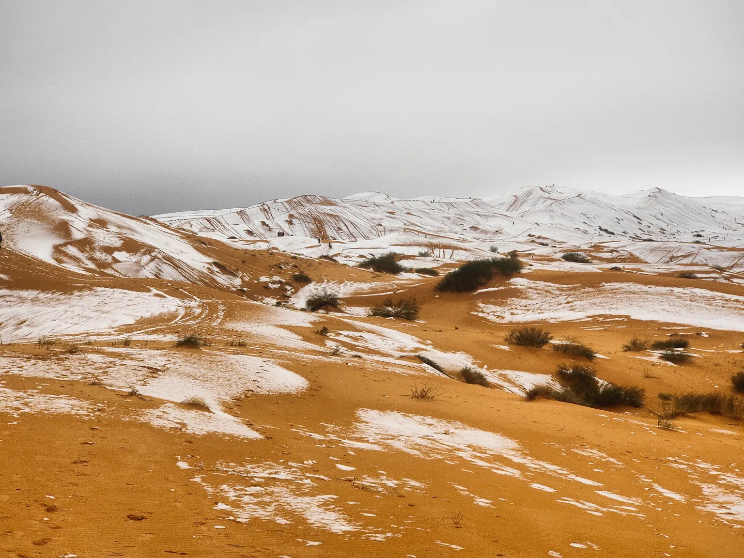 Снег среди песков: редкое природное явление произошло в Сахаре