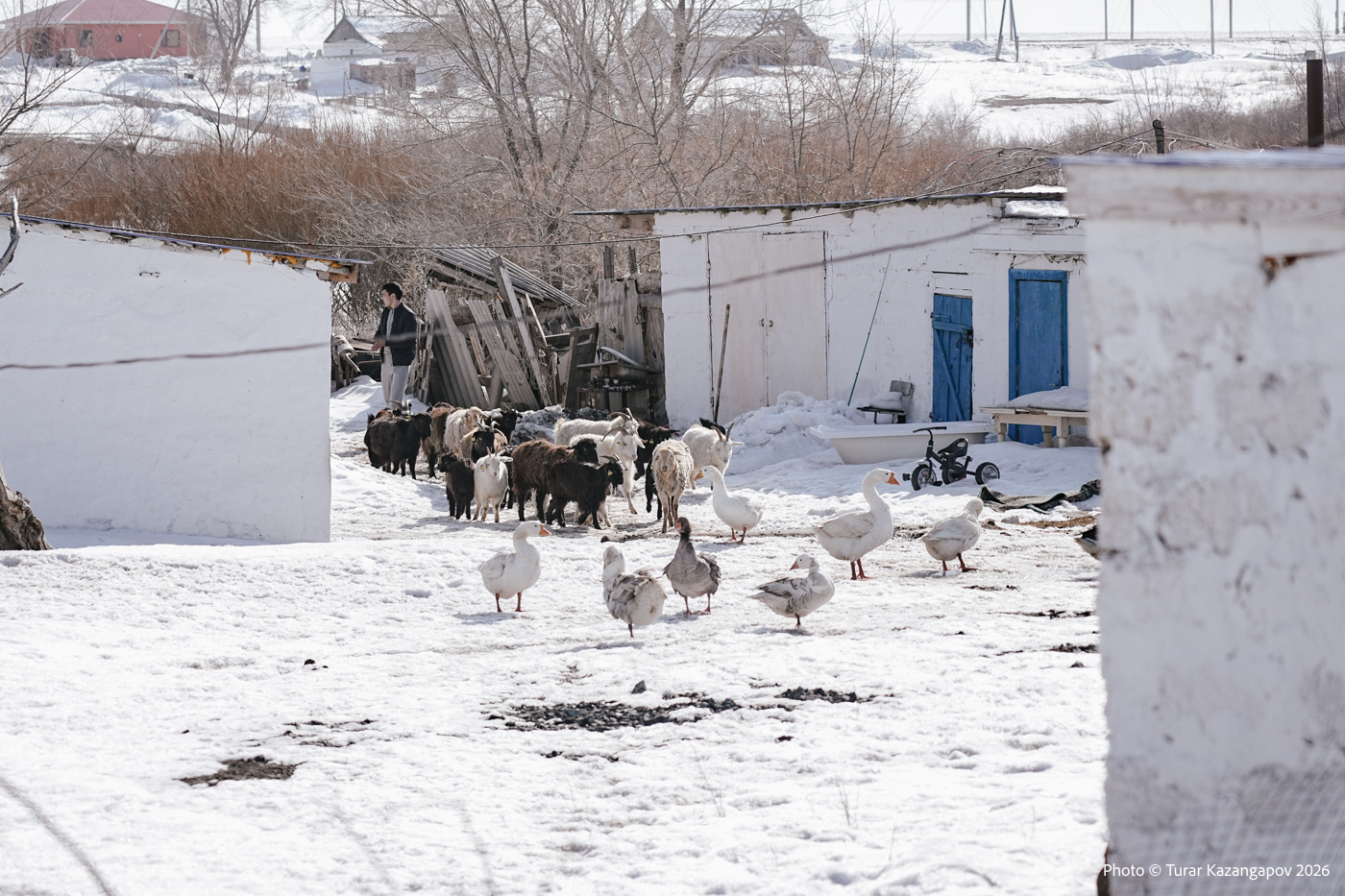 Подпись