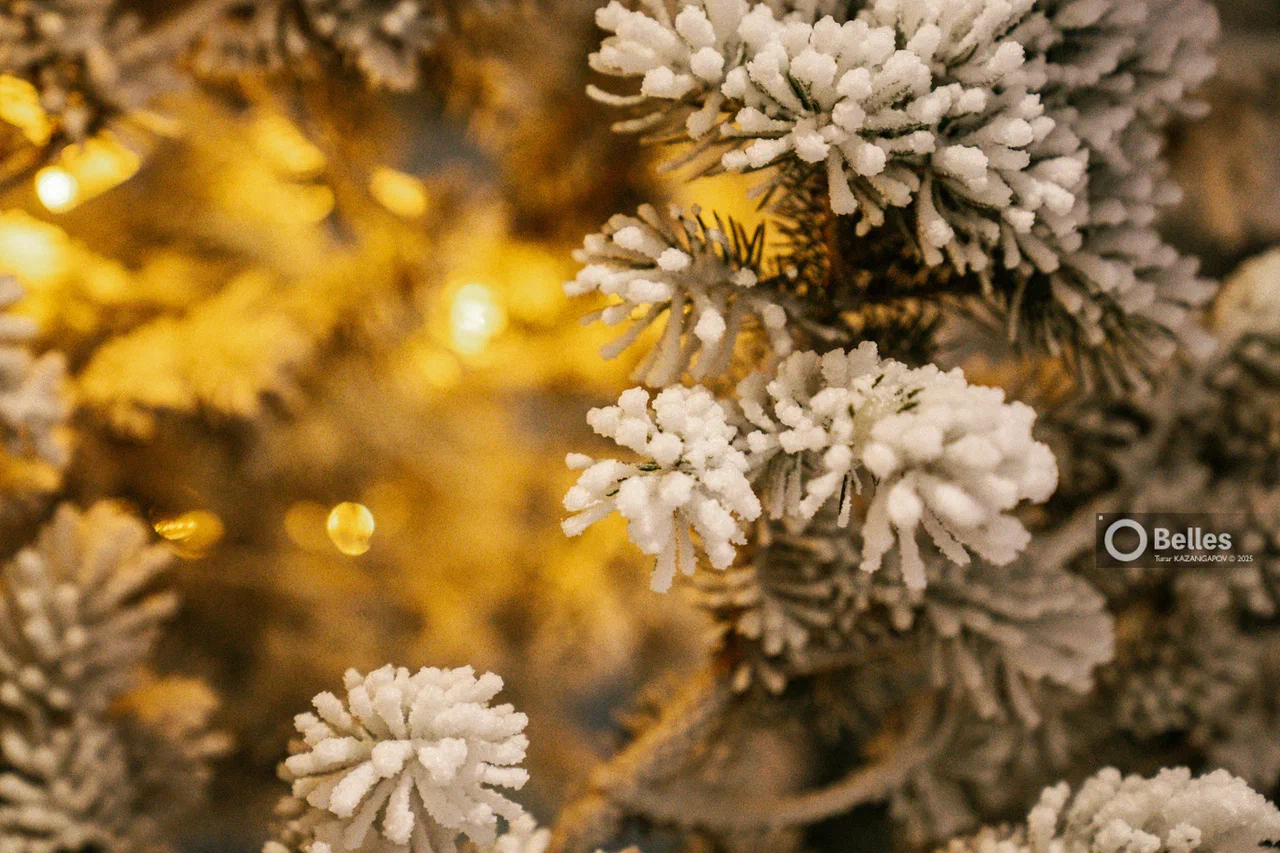 Морозы до −27 градусов и метели надвигаются на Астану и Алматы