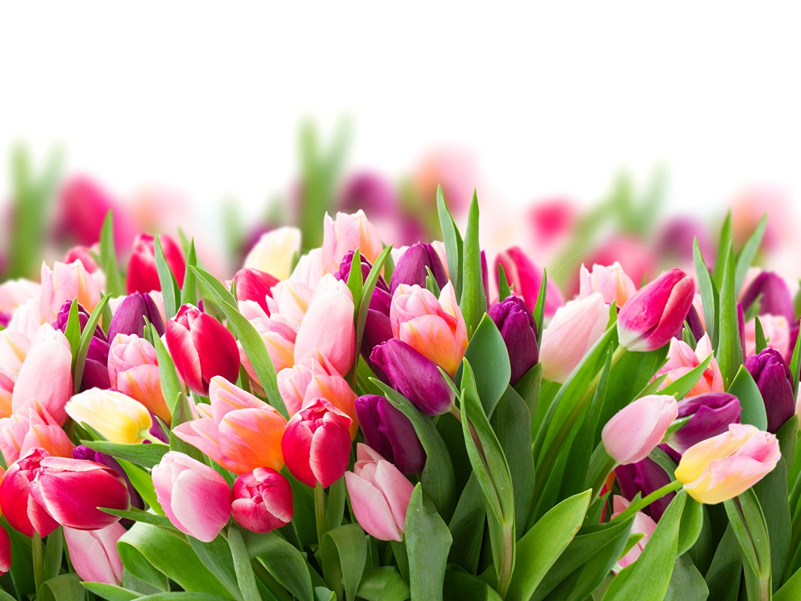 О росте мошенничества перед праздниками предупредили в Генпрокуратуре