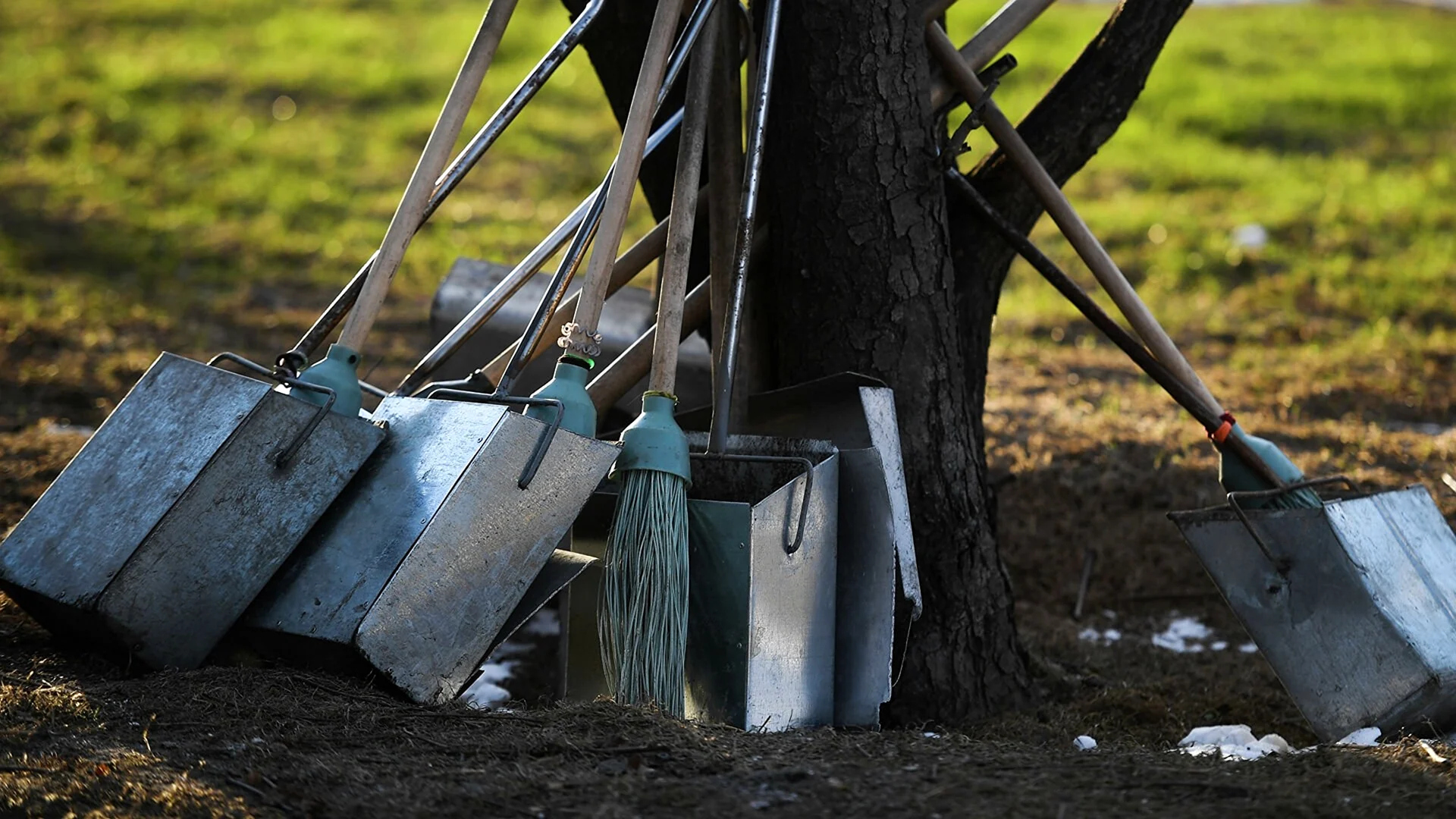 Студенты столичных вузов присоединились к экологической акции «Таза Қазақстан»
