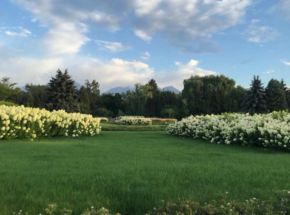 Ботанический сад Алматы перешёл на летний режим работы