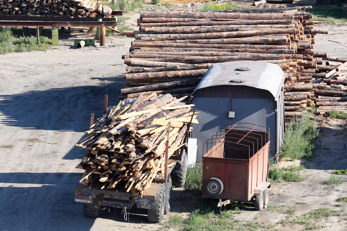 Мы выяснили, за сколько продали деревья, сгоревшие при пожаре в «Семей орманы»